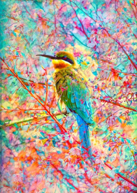 Puzzle Šťastný vtáčik 1000 dielikov