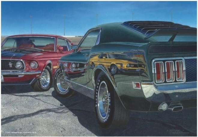 ANATOLIAN Puzzle Rýchlosť 500 dielikov