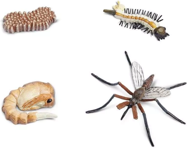 Safari Ltd. životný cyklus komára