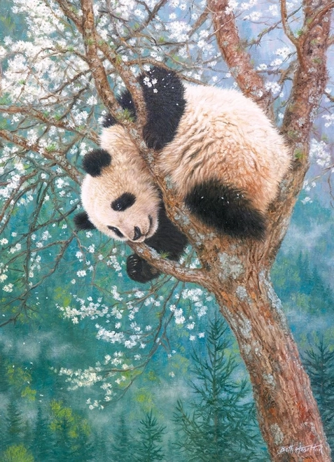 Puzzle Zlaté dieťa 1000 dielikov Cobble Hill