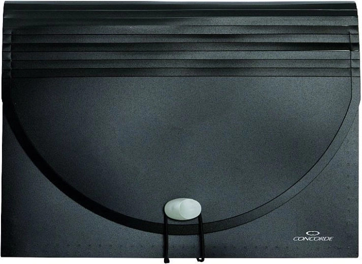 Organizér na dokumenty s gumou, 25 vreciek