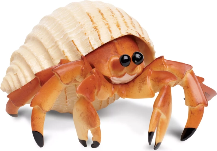 Krab pustovník Safari Ltd.