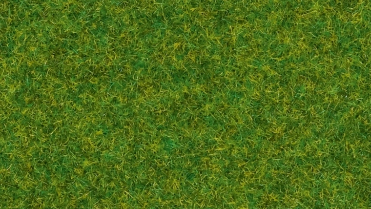 Noch statická tráva okrasný trávnik 2,5 mm