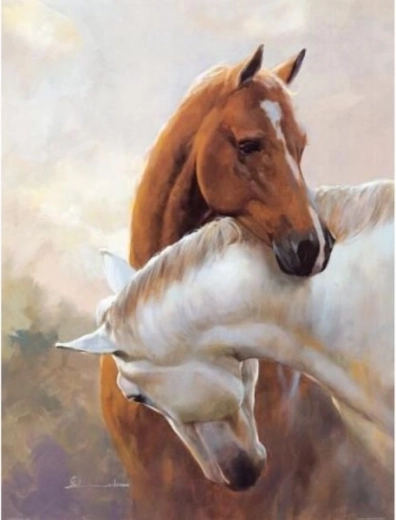 Diamantové vyšívanie (diamond painting) – dva kone 30 × 40 cm - 1 kus