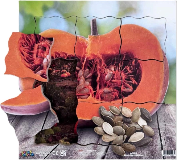 Just Jigsaws tekvica a jej vegetatívne rastové fázy – drevené vrstvené puzzle, 19 dielikov