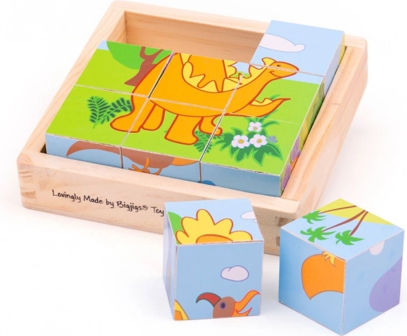 Velkéjigs Obrázkové kocky Dinosaury 9 kociek