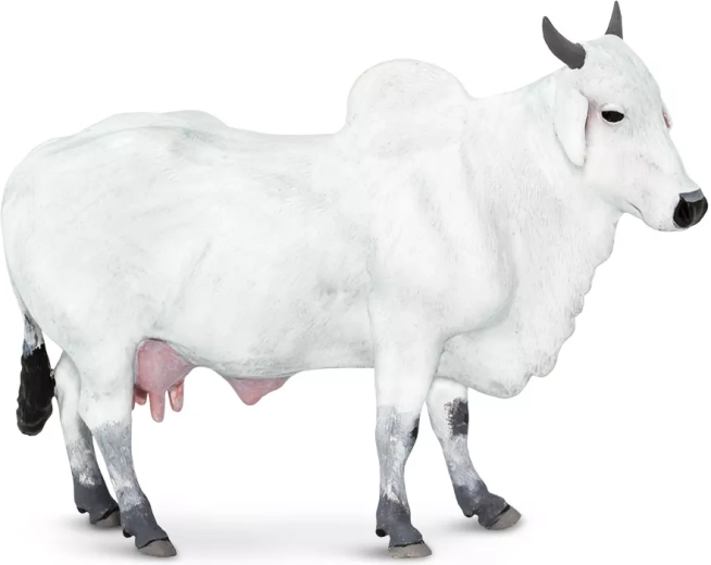 Figúrka domáceho tura (zebu) Safari Ltd. - 1 kus