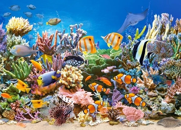 Puzzle 260 dielikov Farby oceánu