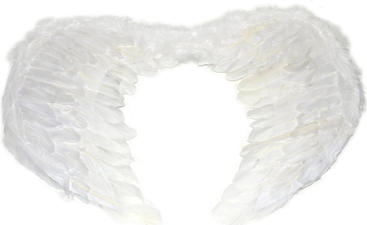 Veľké anjelské krídla