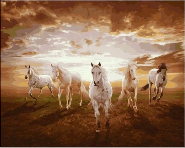Obraz maľovanie podľa čísel v ráme 50 × 40 cm kone v cvale