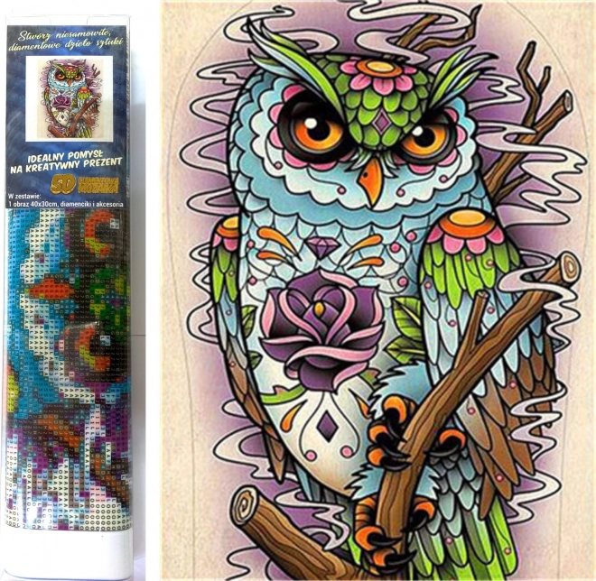 Diamantové maľovanie múdra sova 30x40 cm