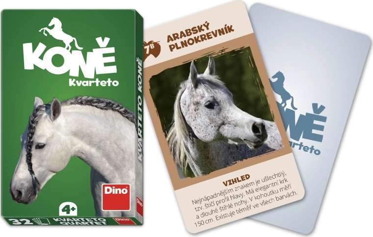 Kvarteto Kone DINO