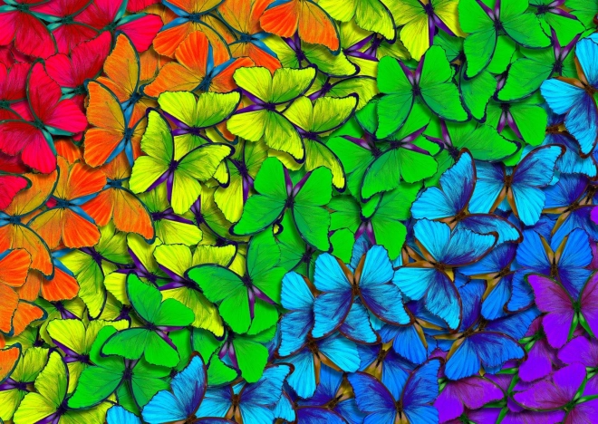 Puzzle dúhoví motýliky 1000 dielikov