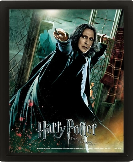 3D obraz HARRY POTTER – Severus Snape