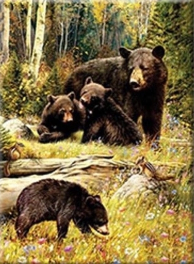 Diamantové maľovanie – Medvede na čistinke 30 × 40 cm