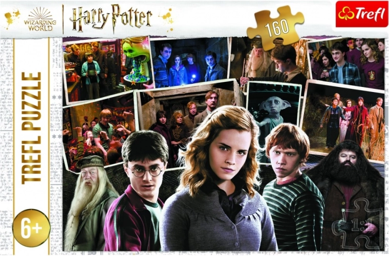 Puzzle HARRY POTTER a priatelia 160 dielikov Trefl