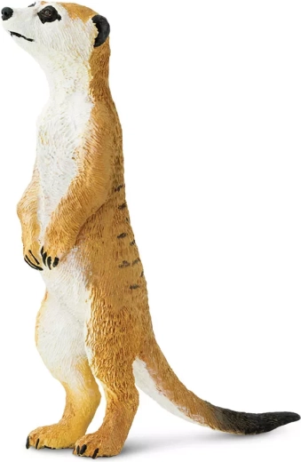 Safari Ltd. figúrka surikaty