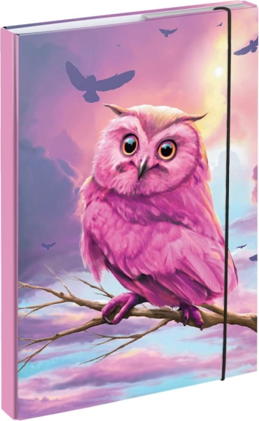 Dosky na školské zošity A4 s motívom sovy BAAGL