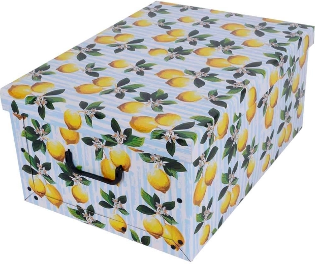 Kartónová úložná krabica Maxi – citróny