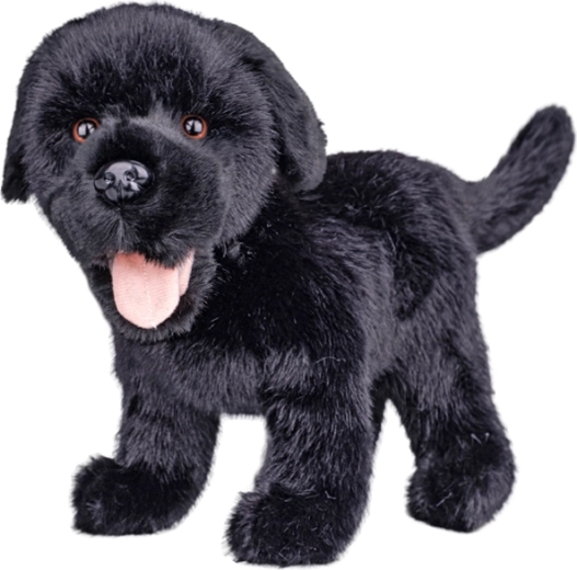 Plyšový labrador čierny 23 cm - 1 kus