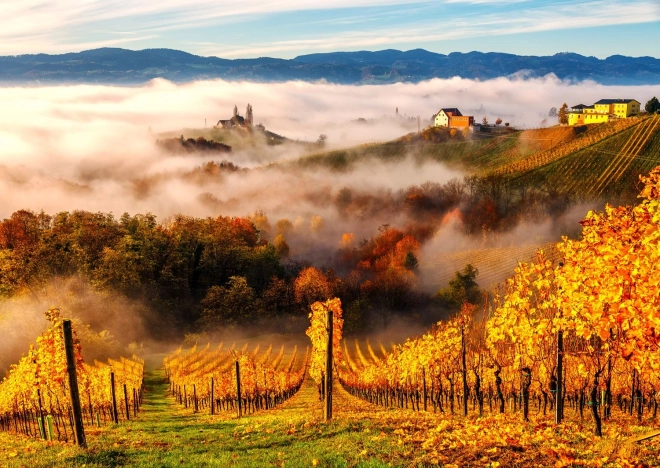 Enjoy puzzle Na vinici 1000 dielikov