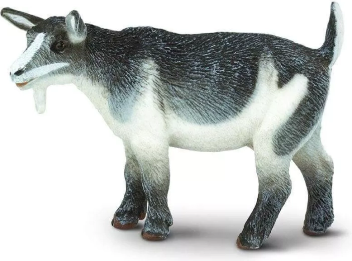 Figúrka kozy trpasličej Safari Ltd.