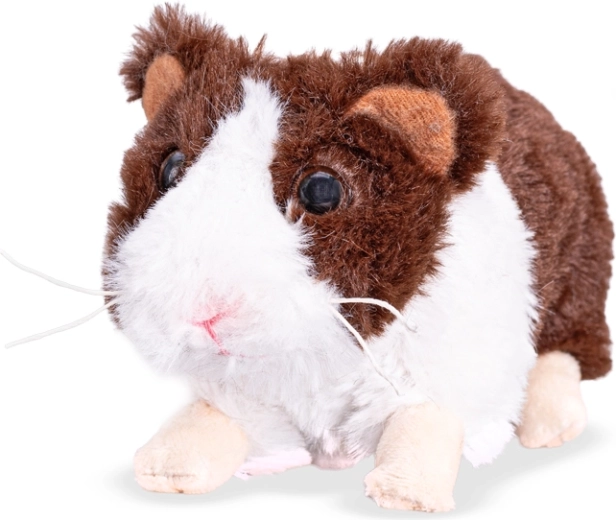 Plyšové morča 18 cm Teddies