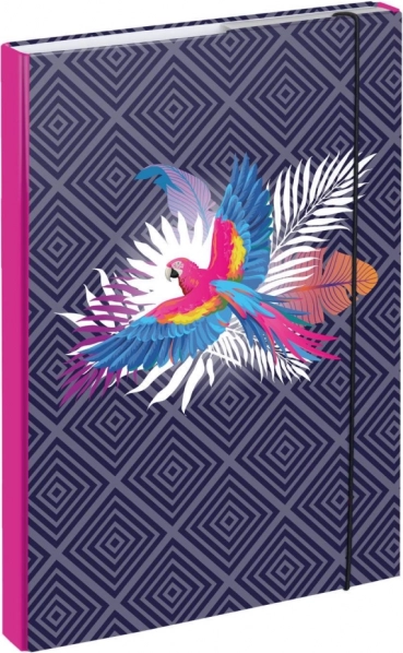 Dosky na školské zošity A4 Papagáj