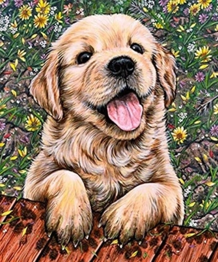 Diamantové maľovanie šteniatko labradora 30 × 40 cm