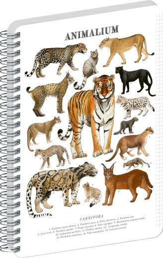 Notique špirálový blok Animalium – mačkovité šelmy, A5, štvorčekový