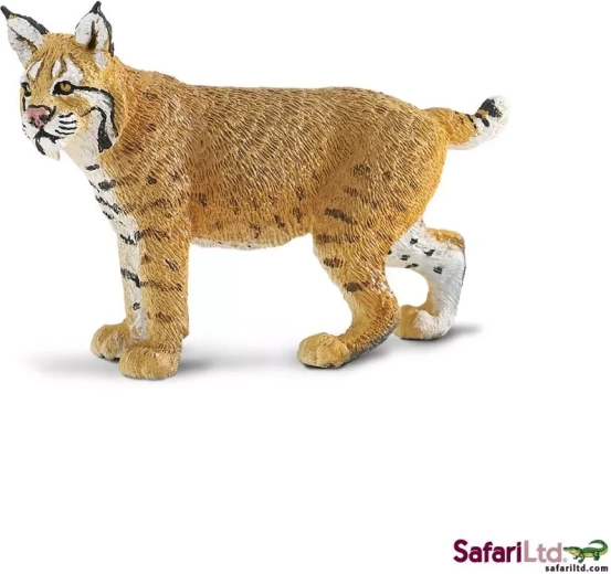 Safari Ltd. rys