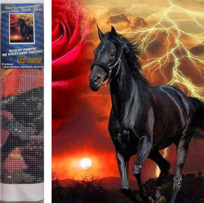 Sada na diamantové maľovanie - čierny žrebec