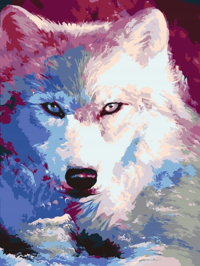 Maľovanie podľa čísel Tiene bieleho vlka 40 × 50 cm