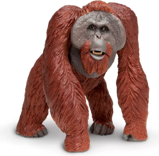 Figúrka bornejského orangutana Safari Ltd.