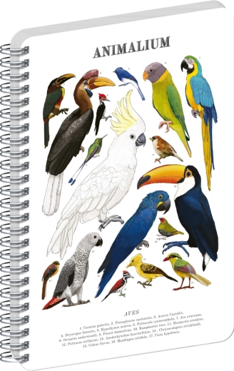 Notique špirálový blok Animalium Vtáky čistý A5