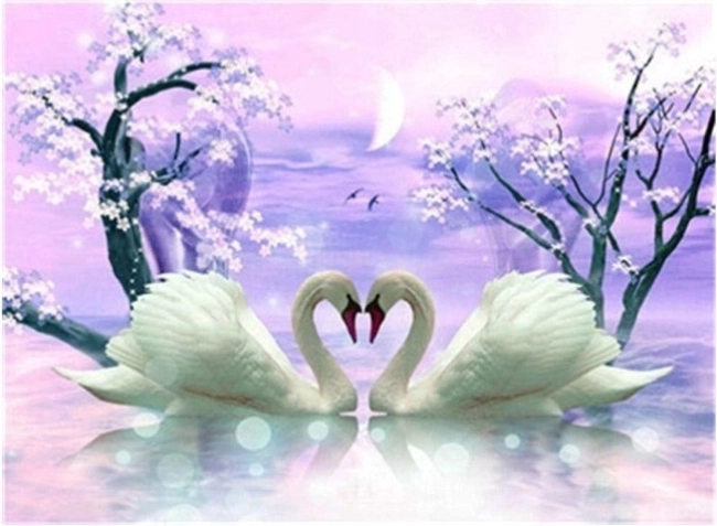 Diamantové maľovanie Labutia láska 30 × 40 cm