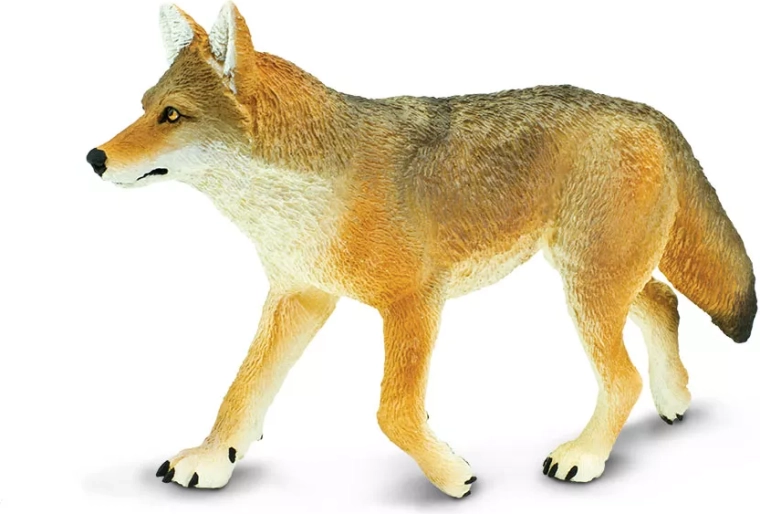 Safari Ltd. figúrka kojota - 1 kus