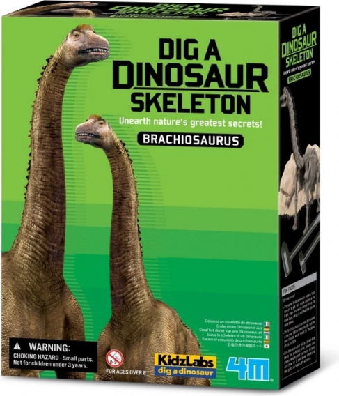 Sada na vykopávky - Brachiosaurus
