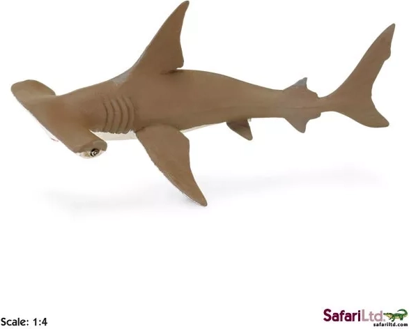 Safari Ltd. mláďa kladivúna bronzového