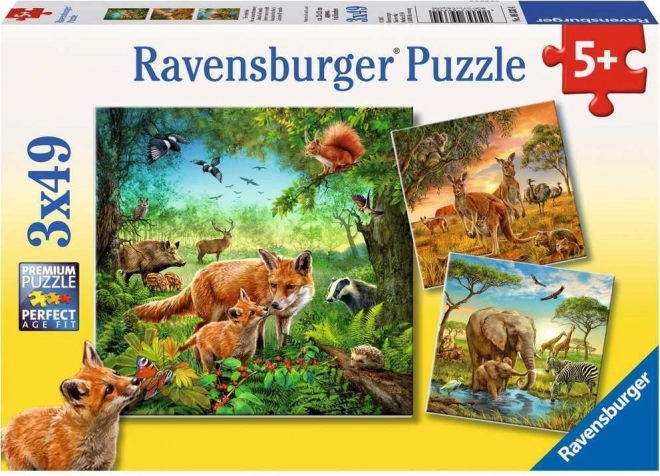 Ravensburger puzzle Zvieratá 3×49 dielikov