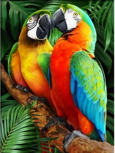 Diamantová mozaika (diamond painting) farebné ary 30 × 40 cm