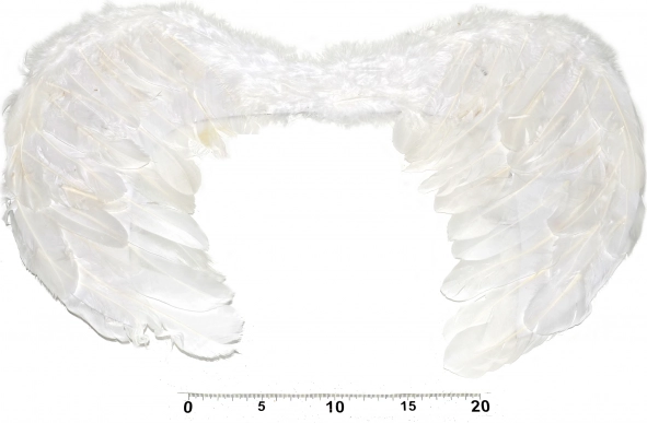 Anjelské krídla pre kostým