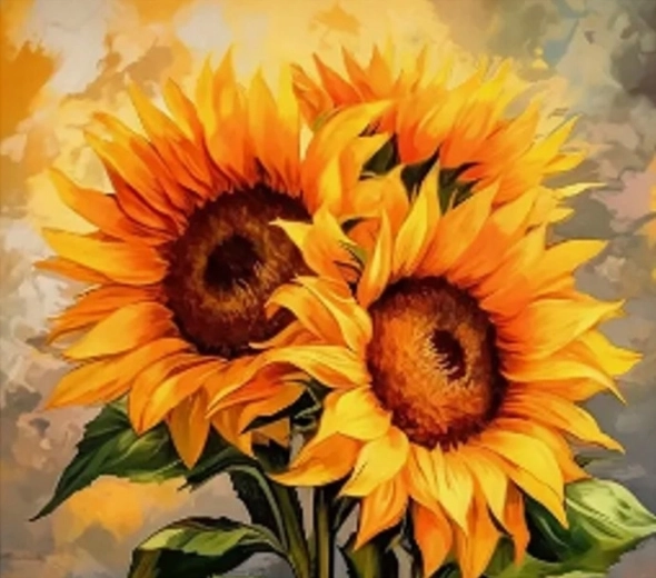 Norimpex Maľovanie podľa čísel Tri slnečnice 40 × 50 cm