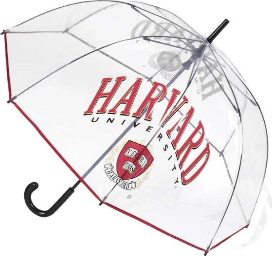 Priehľadný XL dáždnik Harvard - 1 kus