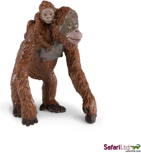Orangutan s mláďaťom