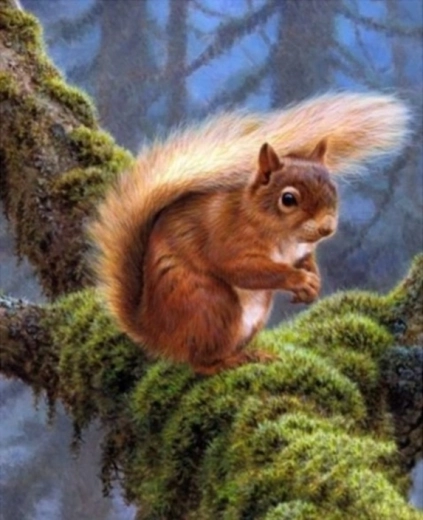 Diamantové maľovanie – veverička na konári 30 × 40 cm