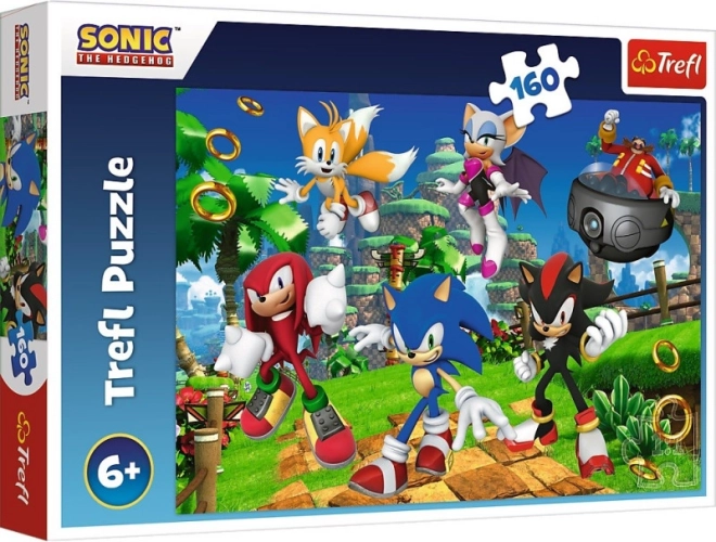 Puzzle Sonic a priatelia 160 dielikov