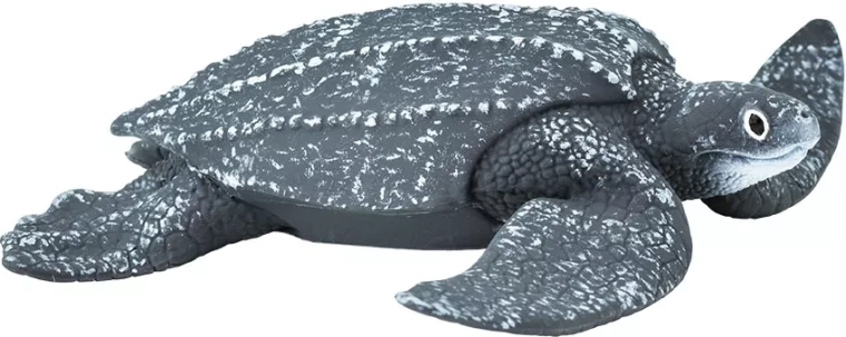 Kožatka veľká Safari Ltd. - 1 kus