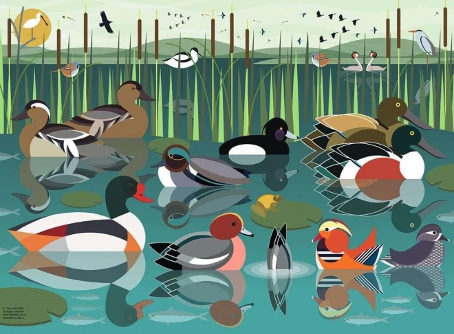 Puzzle vodné vtáky 500 dielikov