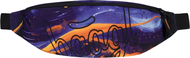 Ľadvinka BAAGL Snap Vibe GRS